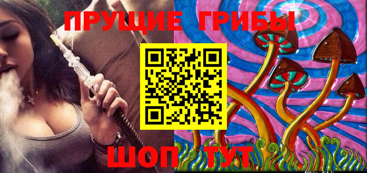 Чистополь  наркошоп  Вход с VPN  Галлюциногенные грибы Magic Shrooms  Псилоцибиновые грибы GOLDEN TEACHER 